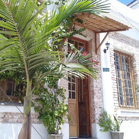 Frida Casa Hostel Пелотас Экстерьер фото